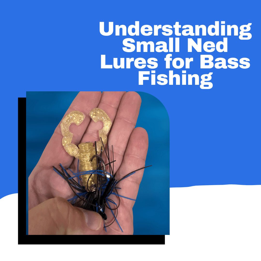 Understanding Small Ned Lures for Bass Fishing: A Comprehensive Guide – WM  Bayou