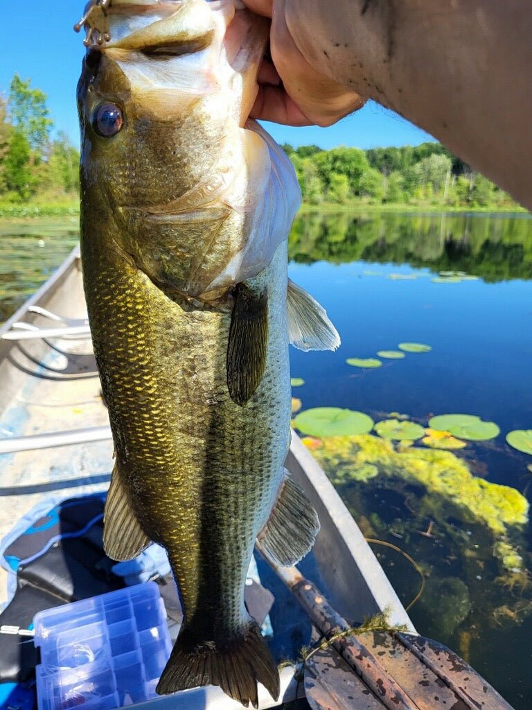 Brian Catches PB Bass on the Techno Frog - WM Bayou
