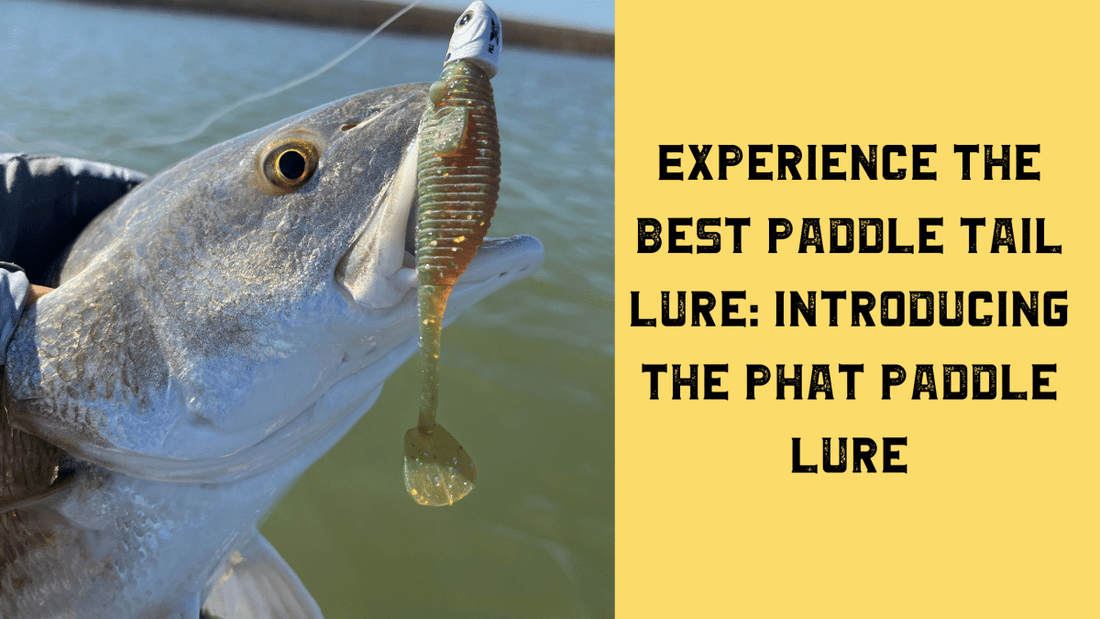 Experience the Best Paddle Tail Lure: Introducing the Phat Paddle Lure for Unforgettable Fishing Adventures - WM Bayou