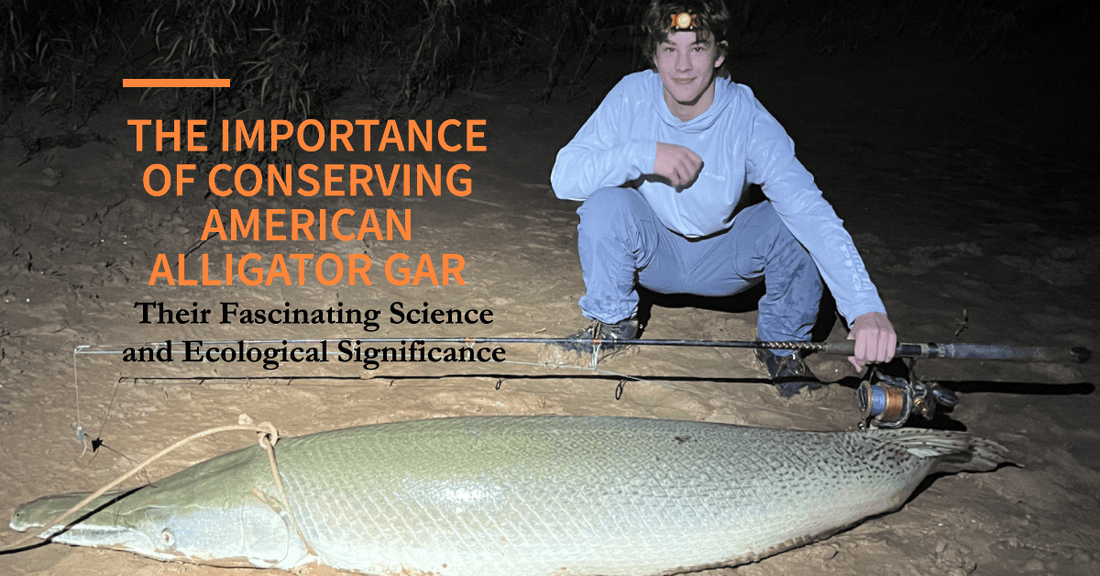 The Importance of Conserving American Alligator Gar: Their Fascinating Science and Ecological Significance - WM Bayou