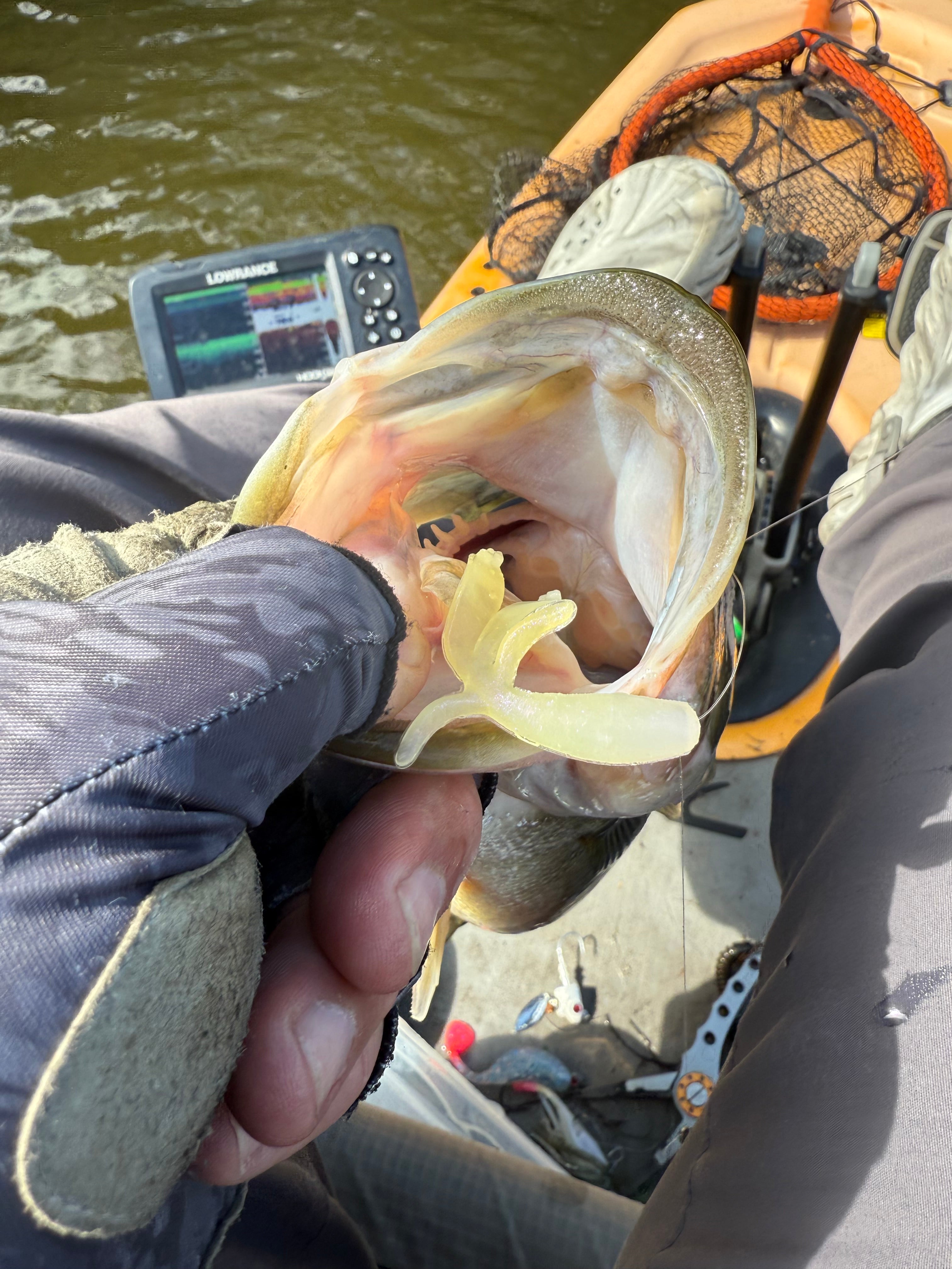 bfs fishing lures The Fein | BFS Finesse Soft Plastic Lure