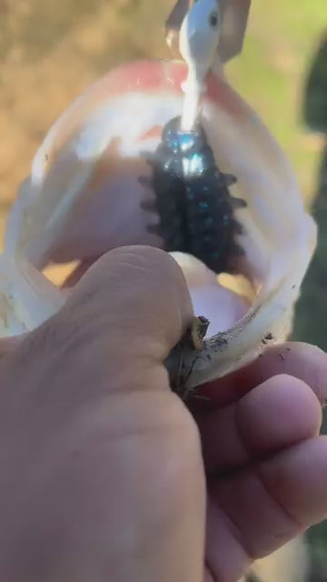 Bio Craw - Soft Plastic Craw Bait for Bass Fishing - video 3