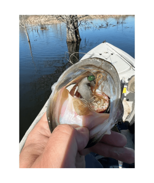 bass eating frog lure Techno Frog | Soft Plastic Frog Bass Lure