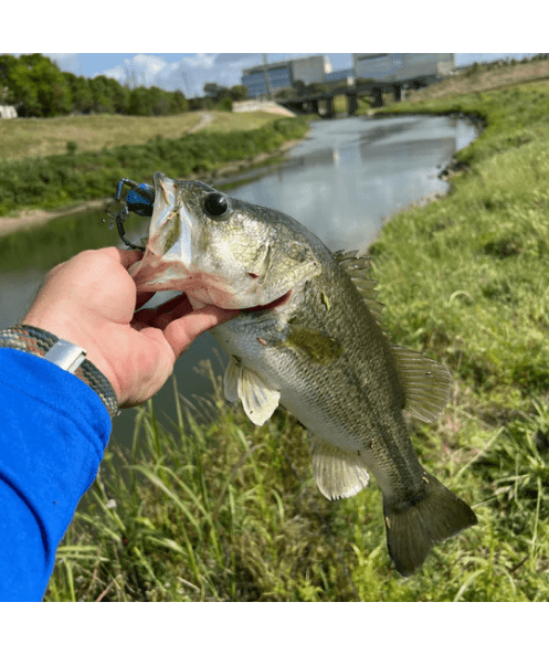bass frogs lures Techno Frog | Soft Plastic Frog Bass Lure