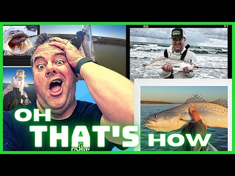 The Phat Paddle - Swimbait | Paddle Tail | Saltwater | Bass